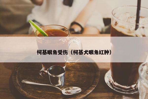 柯基眼角受伤（柯基犬眼角红肿）