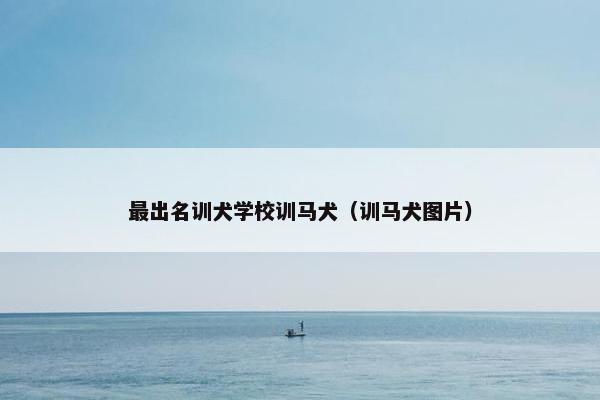 最出名训犬学校训马犬（训马犬图片）