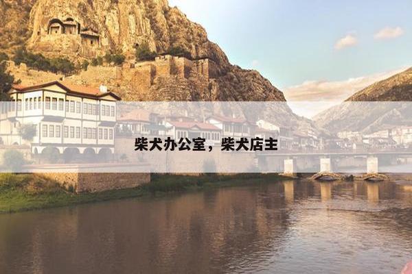 政府