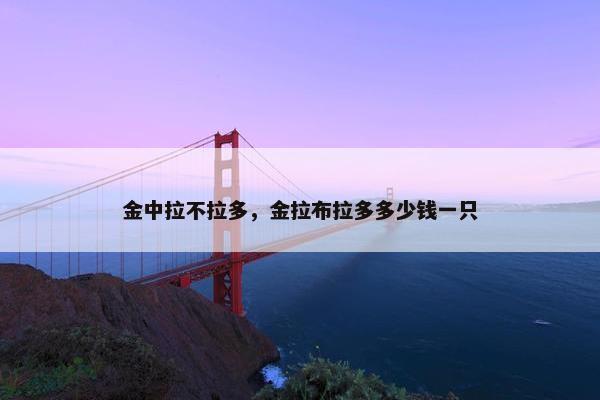 金贵
