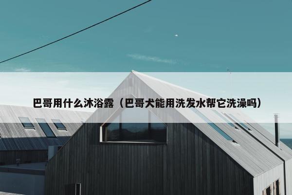 巴哥用什么沐浴露（巴哥犬能用洗发水帮它洗澡吗）