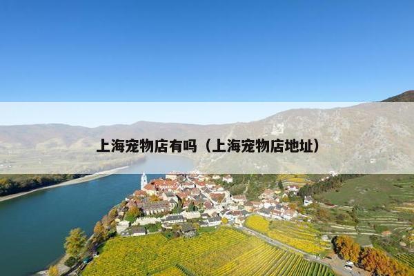 上海宠物店有吗（上海宠物店地址）