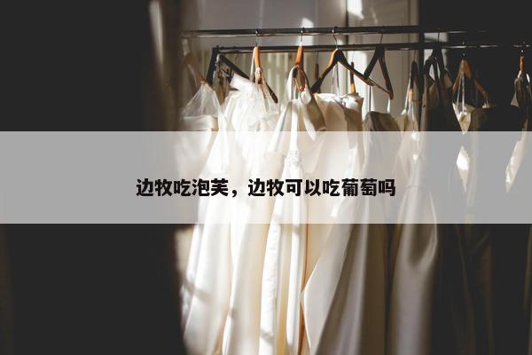 边牧吃泡芙，边牧可以吃葡萄吗