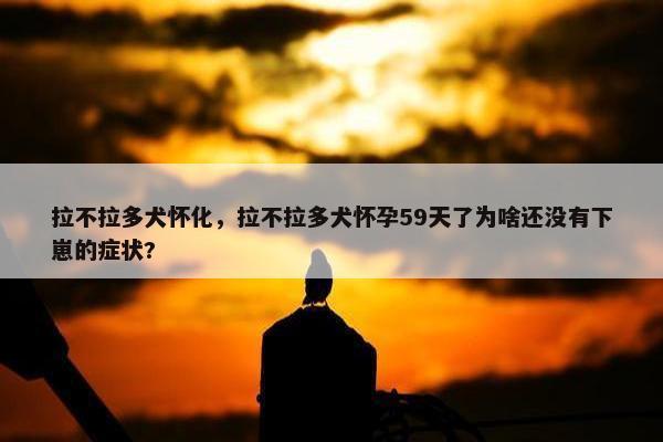 营救