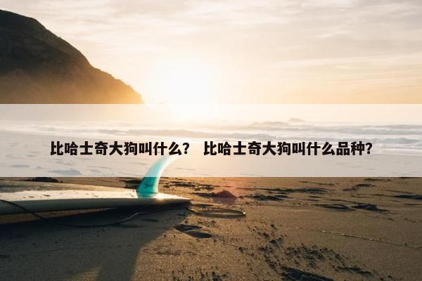 比哈士奇大狗叫什么？ 比哈士奇大狗叫什么品种？