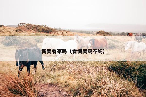 博美看家吗（看博美纯不纯）