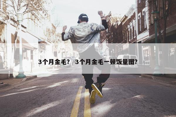 3个月金毛？ 3个月金毛一顿饭量图？