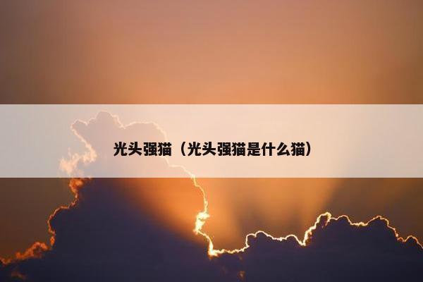 出没