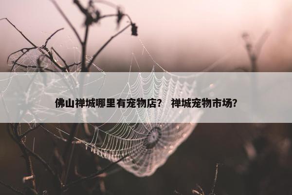 佛山禅城哪里有宠物店？ 禅城宠物市场？