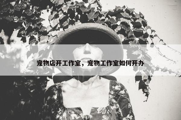 宠物店开工作室，宠物工作室如何开办