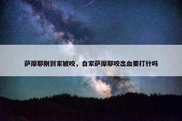 萨摩耶刚到家被咬,自家萨摩耶咬出血要打针吗