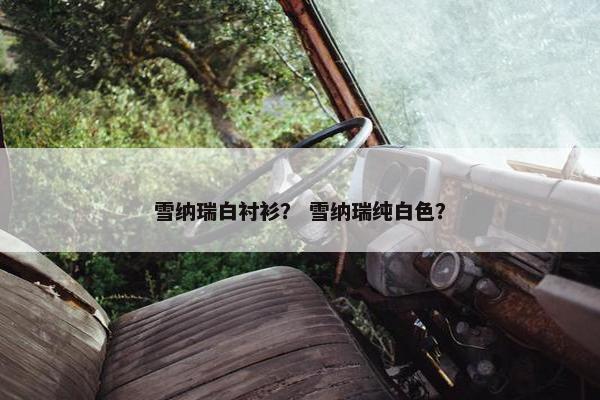 雪纳瑞白衬衫？ 雪纳瑞纯白色？