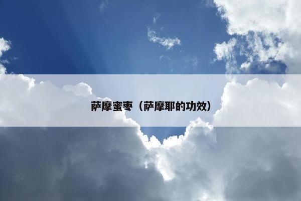 肉片