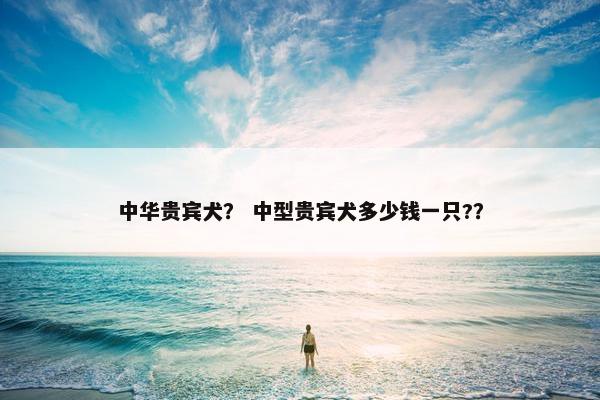 中华 第4页