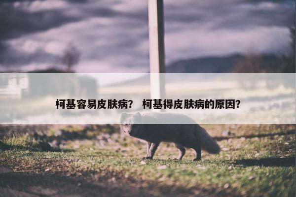 柯基容易皮肤病？ 柯基得皮肤病的原因？