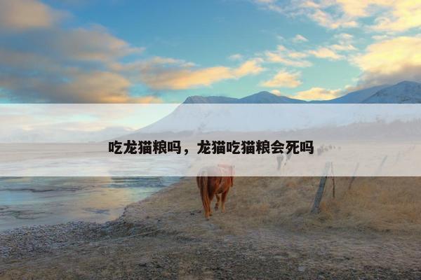 猫粮 第7页