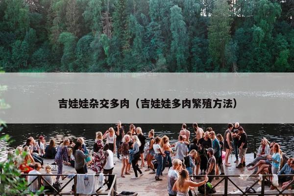 吉娃娃杂交多肉（吉娃娃多肉繁殖方法）