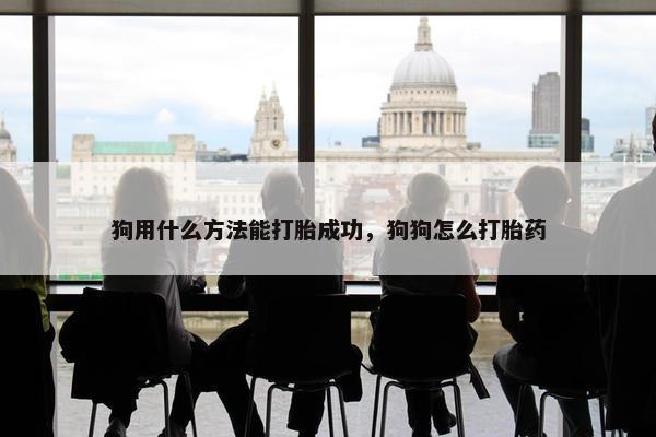 狗用什么方法能打胎成功，狗狗怎么打胎药