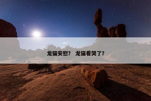 龙猫安慰? 龙猫看哭了?