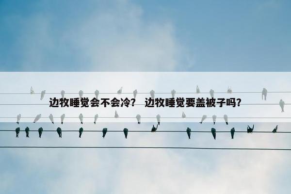 边牧睡觉会不会冷？ 边牧睡觉要盖被子吗？