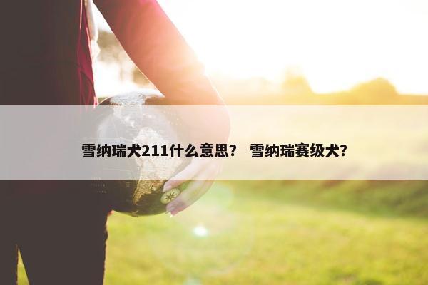 布鲁
