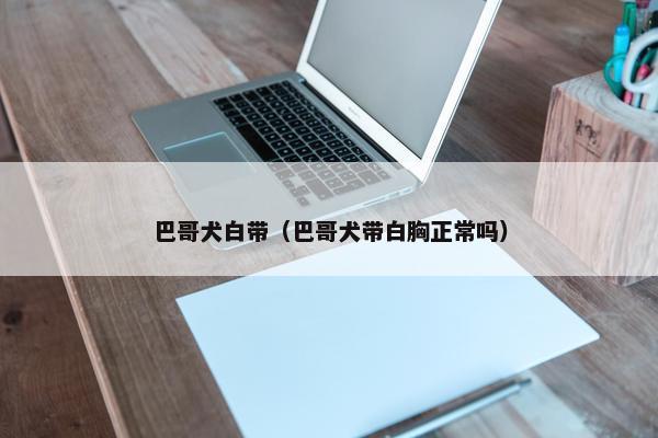 巴哥犬白带（巴哥犬带白胸正常吗）