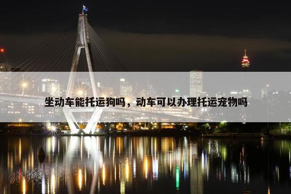 坐动车能托运狗吗，动车可以办理托运宠物吗