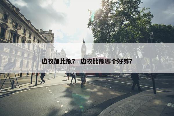 边牧加比熊？ 边牧比熊哪个好养？
