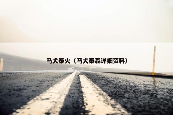 马犬泰火（马犬泰森详细资料）