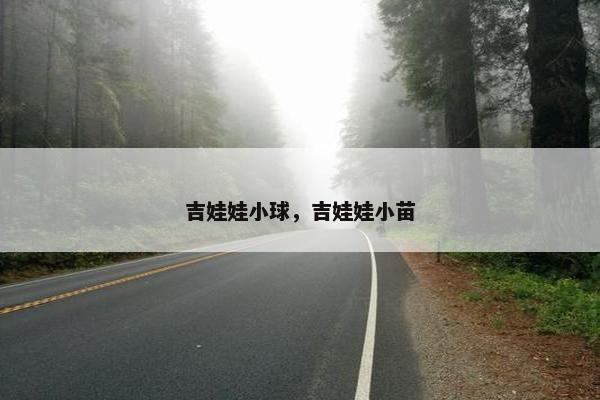 吉娃娃小球，吉娃娃小苗