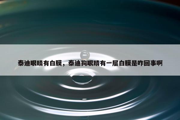 泰迪眼睛有白膜，泰迪狗眼睛有一层白膜是咋回事啊