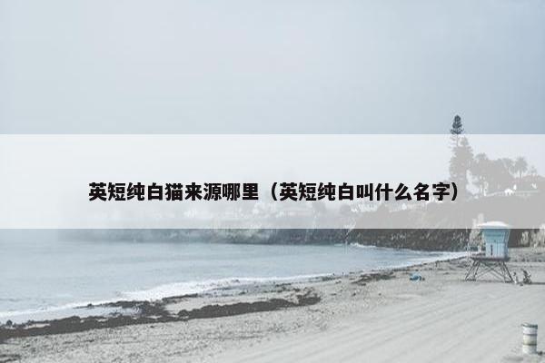 英短纯白猫来源哪里（英短纯白叫什么名字）
