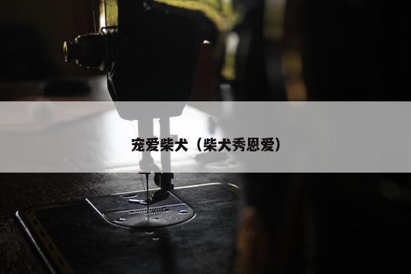 宠爱柴犬（柴犬秀恩爱）