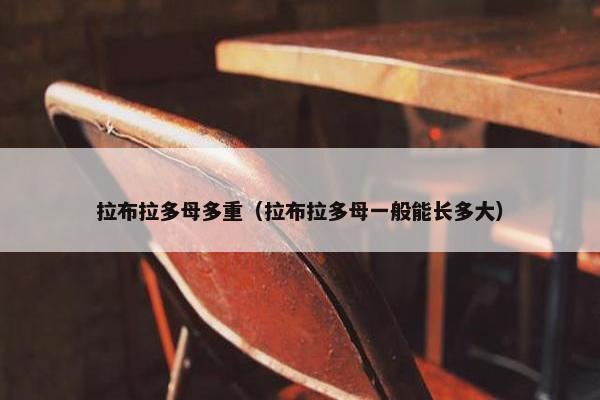 拉布拉多母多重（拉布拉多母一般能长多大）