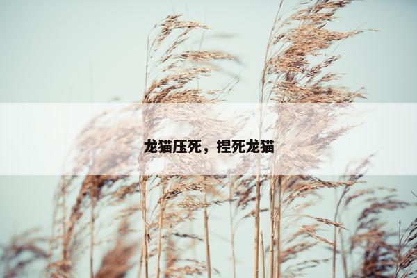 报复性