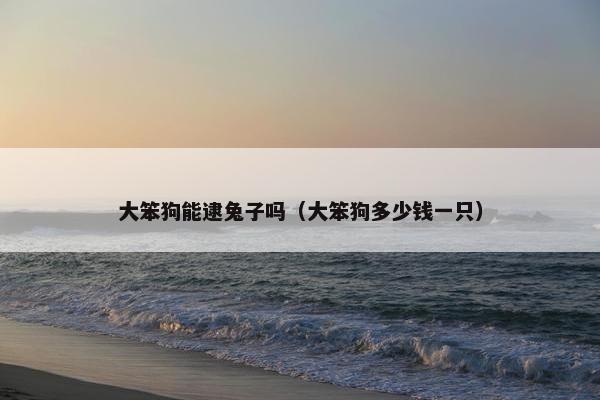 黄牛