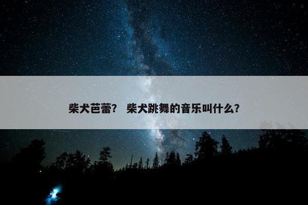 柴犬芭蕾？ 柴犬跳舞的音乐叫什么？