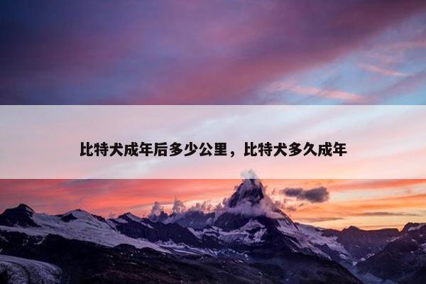 比特犬成年后多少公里，比特犬多久成年