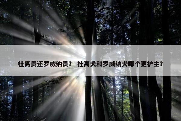 杜高贵还罗威纳贵？ 杜高犬和罗威纳犬哪个更护主？