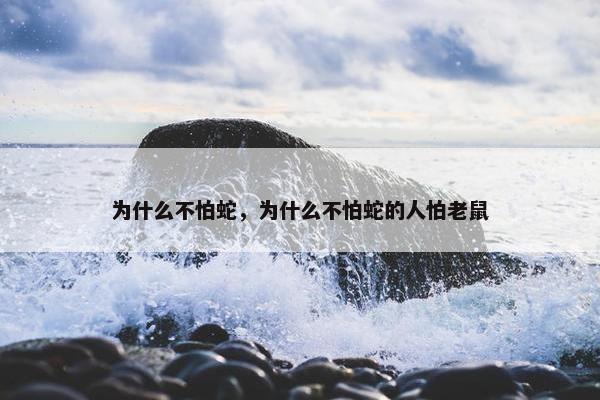 毒蛇