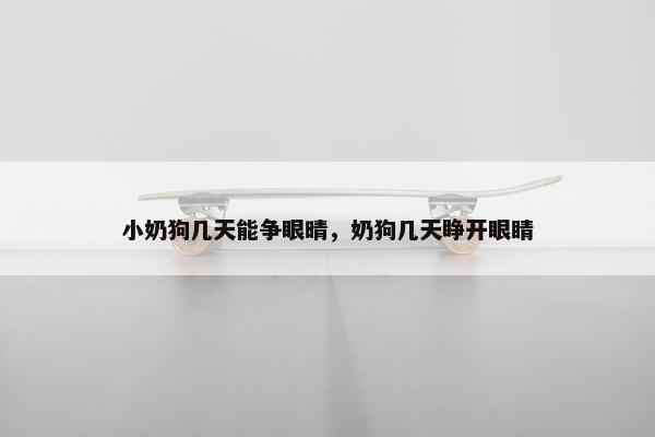 小奶狗几天能争眼晴,奶狗几天睁开眼睛