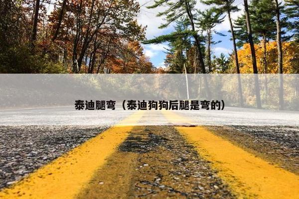 泰迪腿弯（泰迪狗狗后腿是弯的）