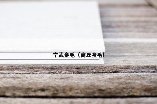 高速
