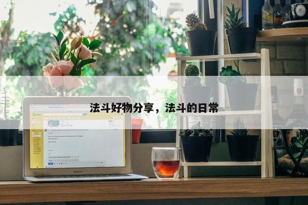 法斗好物分享，法斗的日常