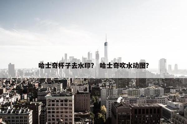 豆渣