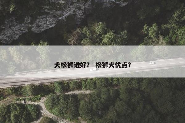 犬松狮谁好？ 松狮犬优点？