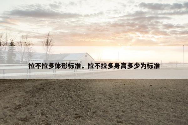 中大型