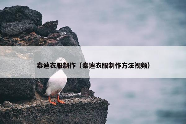 泰迪衣服制作(泰迪衣服制作方法视频)