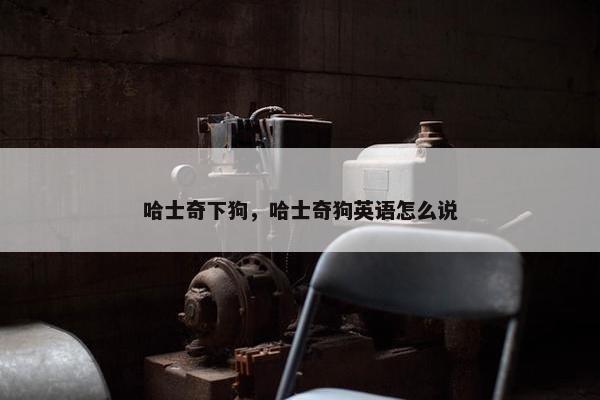 哈士奇下狗，哈士奇狗英语怎么说