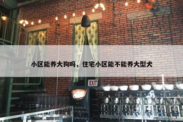 小区能养大狗吗,住宅小区能不能养大型犬